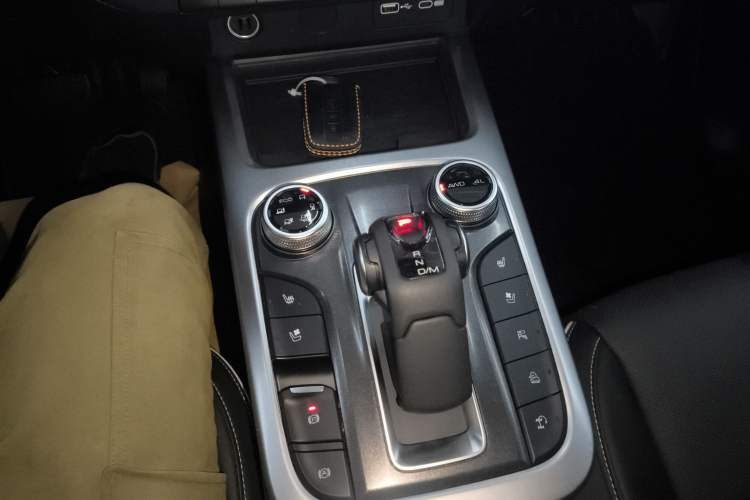 Used Tank 300 2023 2.0T 200 000-Vehicle Commemorative Edition
