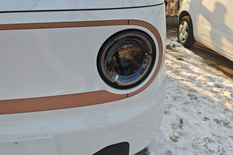 Used  Panda 2024 Panda Mini 200km Endurance Bear