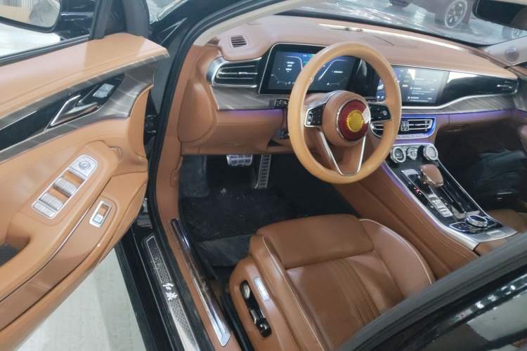 Used Hongqi H9 2020 2.0T Smart Connect Flagship Edition