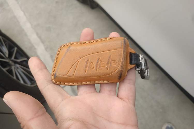 Used Lexus NX 2023 260 Front-Wheel Drive Chuan Yue Edition