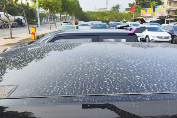 Used  Panda 2023 Panda Mini 200km Endurance Bear
