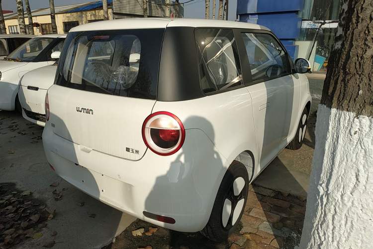 Used  Lumin 2025 205 km Xiangqin Version