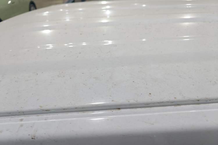 Used  Panda 2024 Panda Mini 200km Endurance Bear
