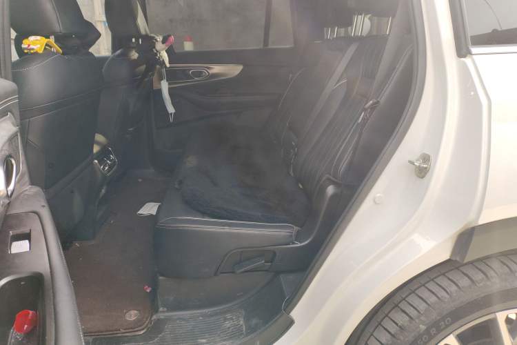 Used GAC Trumpchi GS8 2025 Linghang Series 2.0 TGDI Two-Wheel-Drive Luxury Edition 5 Seats