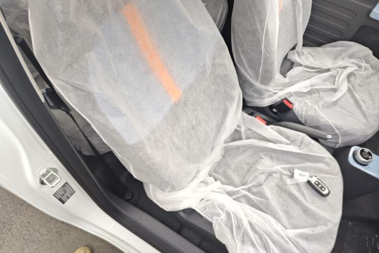 Used  Panda 2024 Panda Mini 200km Endurance Bear