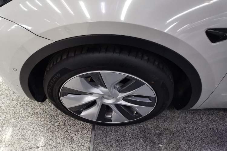 Used Tesla Model Y 2021 Standard Range Rear-Wheel Drive Version
