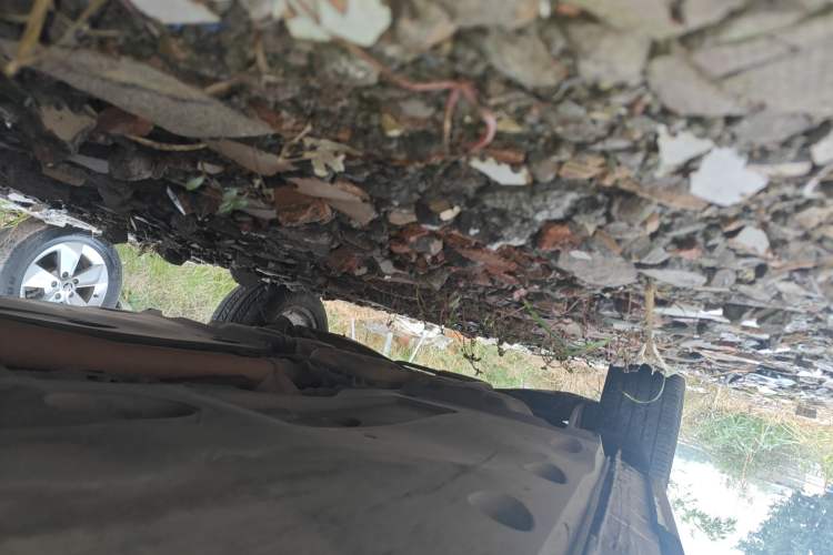 Used Volkswagen Tiguan 2013 1.8TSI Automatic All-Wheel-Drive Comfort Edition
