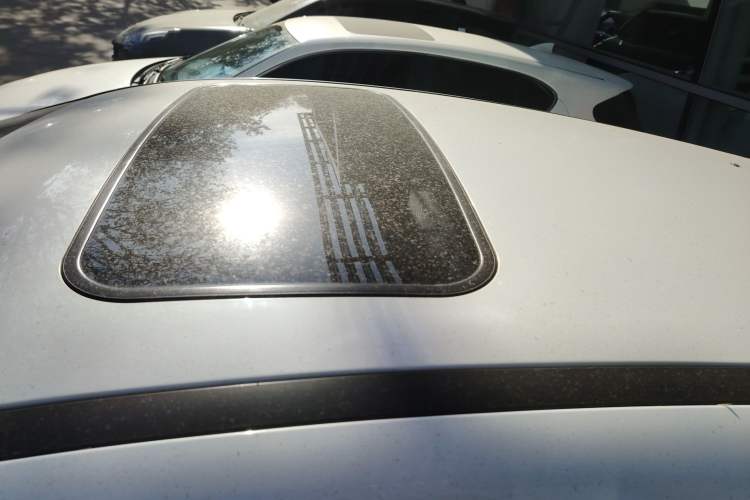 Used Ford Focus 2018 Hatchback Classic EcoBoost 180 Automatic Elite Model
