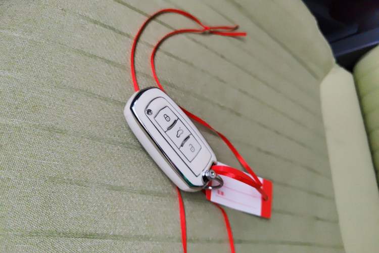 Used  Panda 2023 Panda Mini 120km Asian Games Edition