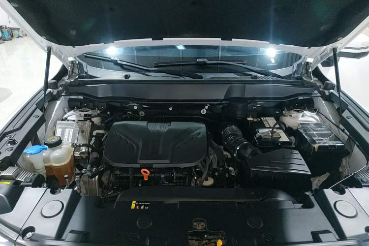 Used Haval DARGO 2021 Revised Version 2.0T DCT Four-Wheel Drive "Hao Tian Que" Edition
