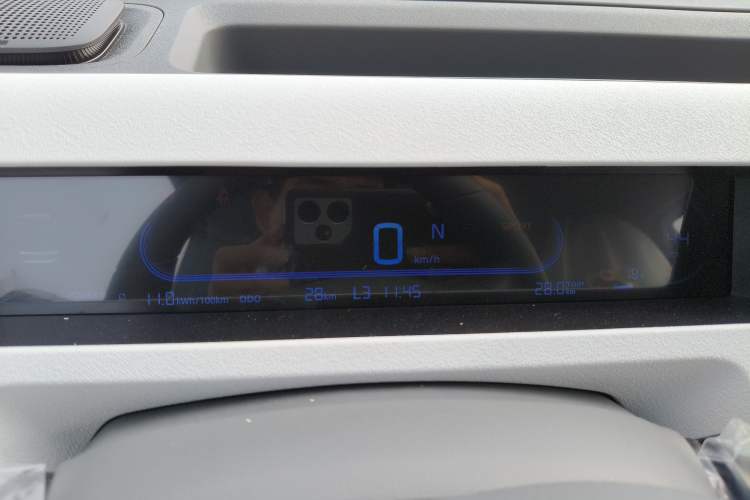 Used  Panda 2024 Panda Mini 200km Endurance Bear
