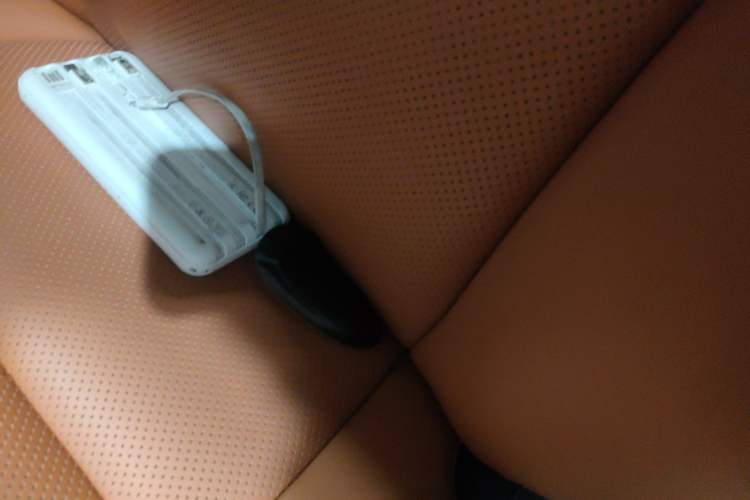 Used Wey Lanshan 2023 Four-Wheel Drive Ultra-Long Range Version