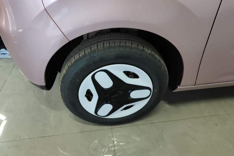 Used  Panda 2025 210 km – Yuanqi Bear