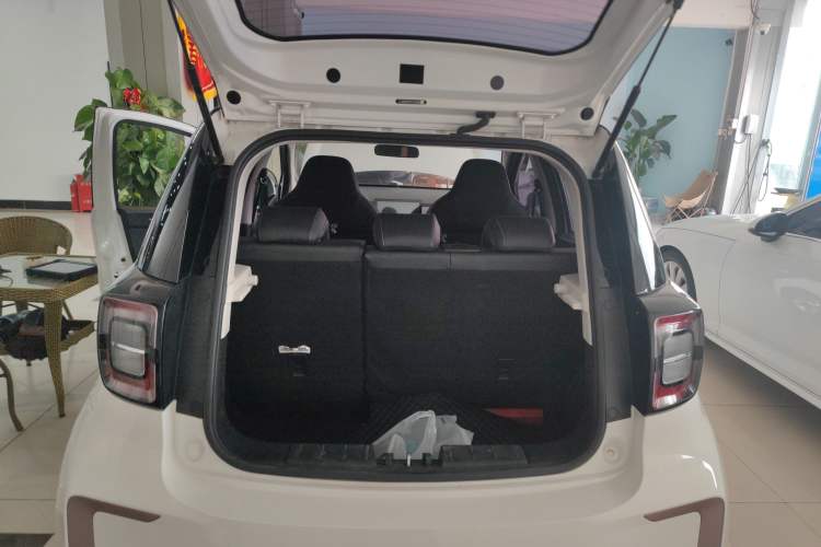 Used SOL E10X 2022 Flower Fairy Design Four-Leaf Clover