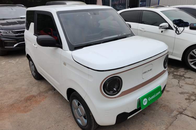 Used  Panda 2024 Panda Mini 200km Endurance Bear