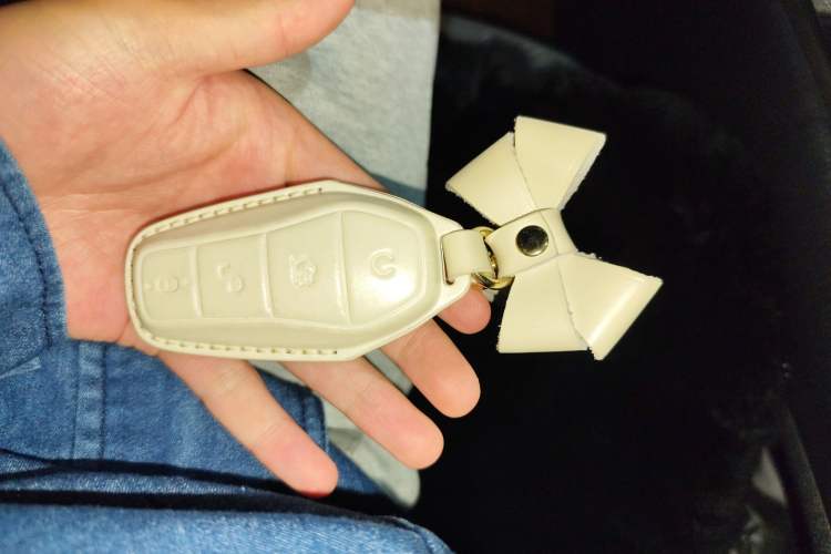 Used BYD Dolphin 2021 405 km Fashion Edition
