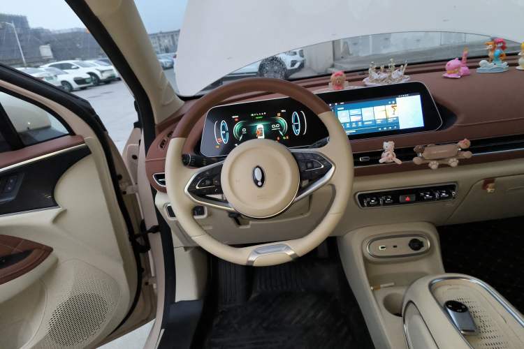 Used ORA Good Cat 2023 401 km Standard Range Luxury Version Lithium Iron Phosphate