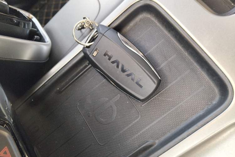 Used Haval DARGO 2024 2.0T DCT Chinese Rural Dog Edition
