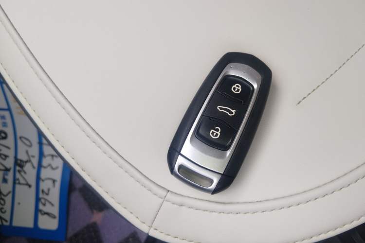 Used  Panda 2024 200km Panda Rider
