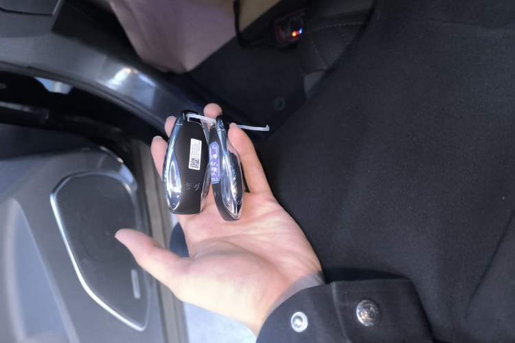 Used Hongqi HS5 2023 2.0T Qixiang Pro Edition
