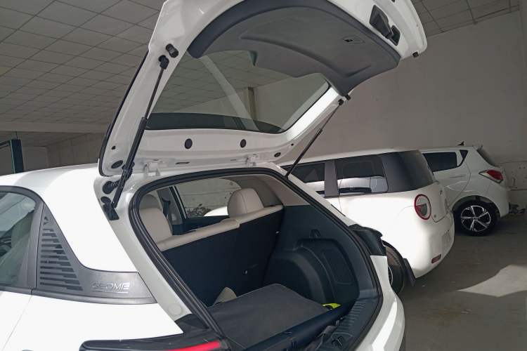 Used  Geome 2025 310km Youth Edition
