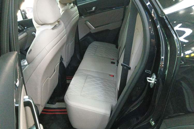 Used BYD Tang New Energy 2024 DM-i Glory Edition 112KM Prestige Model