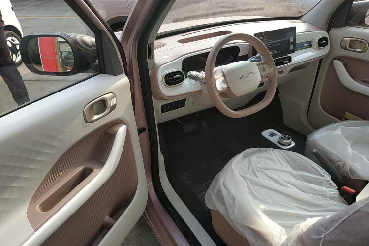 Used  Panda 2025 210 km – Yuanqi Bear
