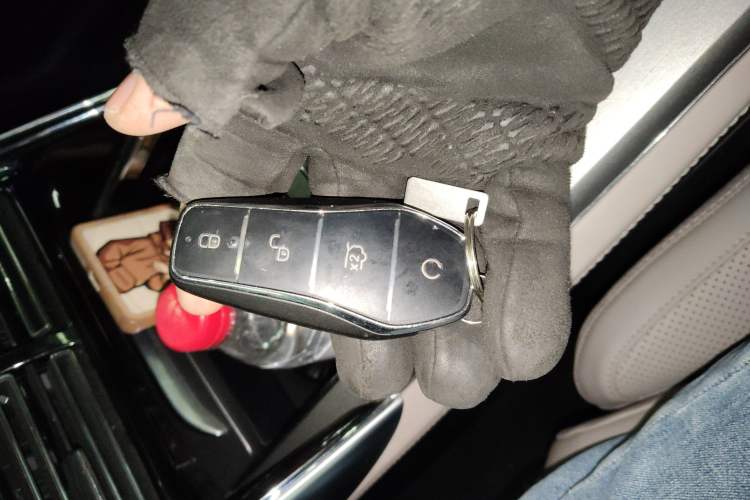 Used BYD Tang New Energy 2025 Intelligent Driving Version DM-i 115KM Flagship Edition