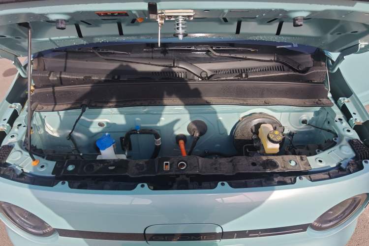 Used  Panda 2025 210 km – Yuanqi Bear
