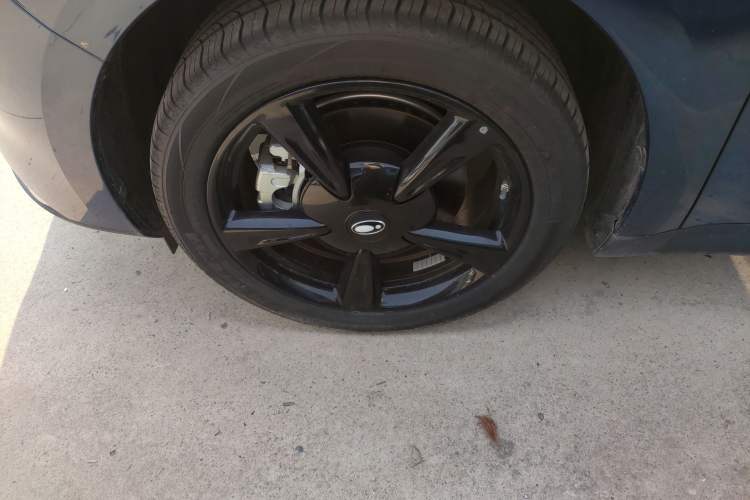 Used ORA Good Cat 2024 401 km Luxury Version
