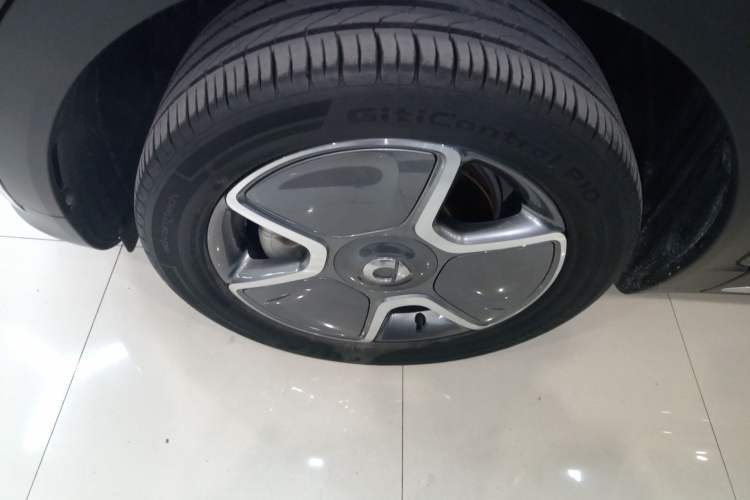 Used  #1 2023 Pro Edition
