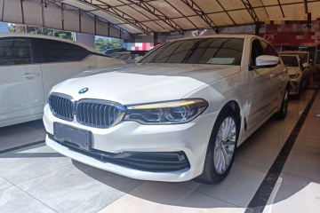 Used BMW 5 Series 2020 530Li Luxury Edition Premium Package