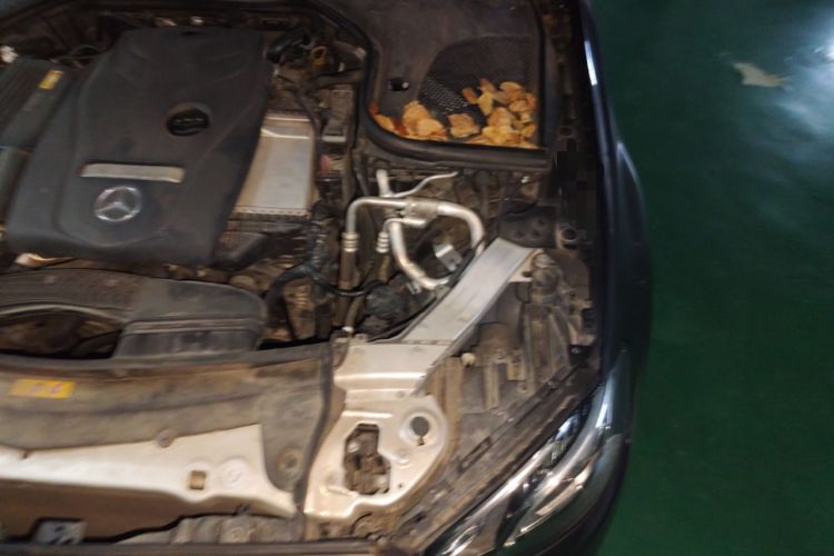 Used Mercedes-Benz E-Class 2017 E 300 L Luxury Model
