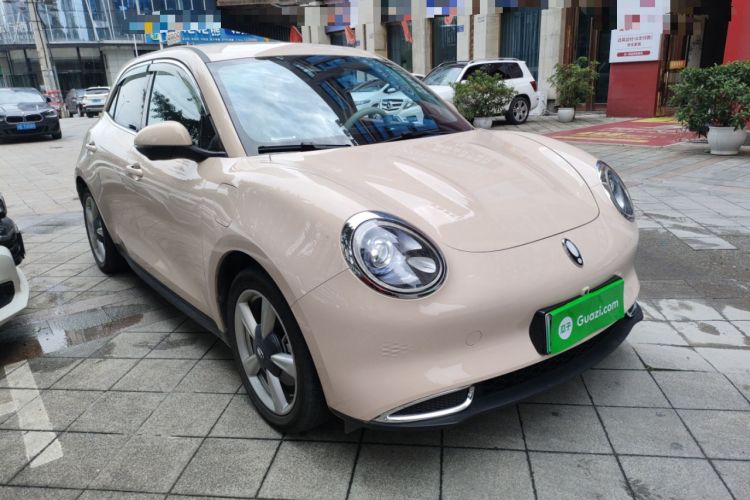 Used ORA Good Cat 2023 401 km Standard Range Luxury Version Lithium Iron Phosphate
