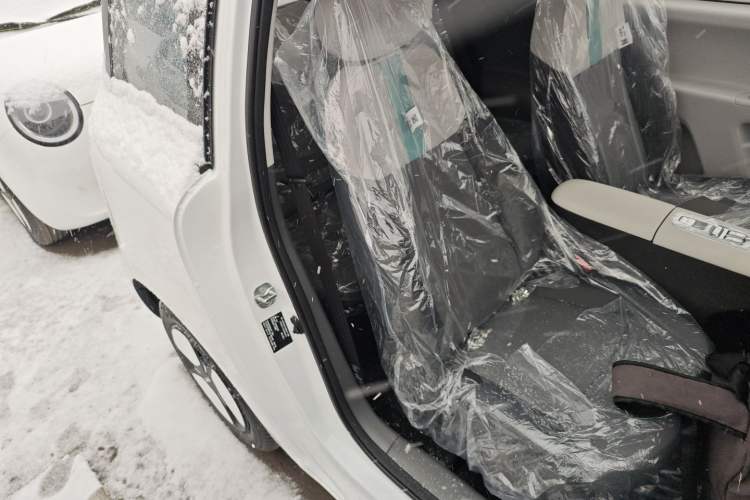 Used  Lumin 2025 205 km Xiangqin Version
