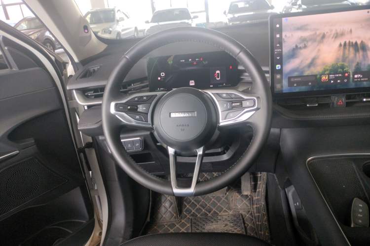 Used Haval H6 2024 1.5T Two-Wheel Drive Ultra