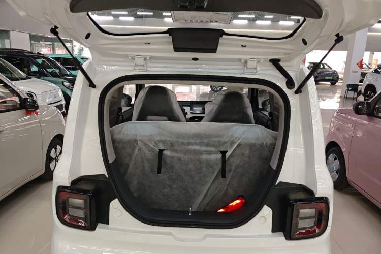 Used  Panda 2024 Panda Mini 200km Endurance Bear
