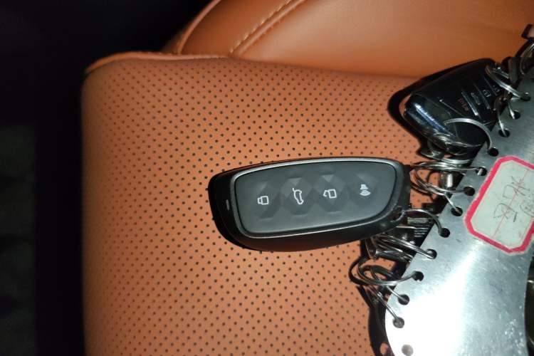 Used Haval H9 2024 2.0T Gasoline 4x4 Territory Edition
