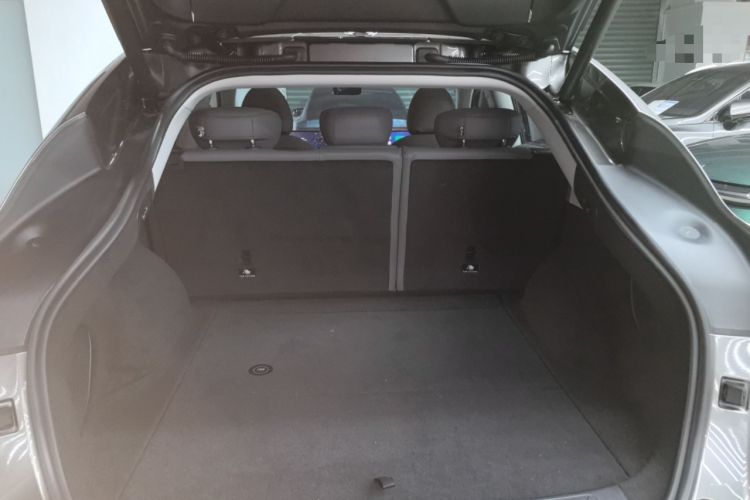 Used  LS6 2023 Max Long-Range Version
