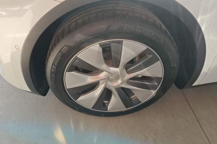 Used Tesla Model Y 2021 Standard Range Rear-Wheel Drive Version
