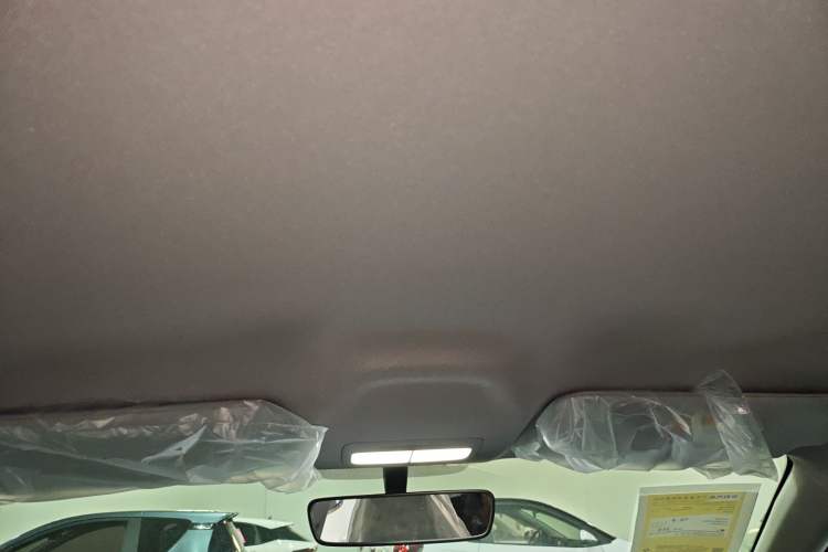 Used  Geome 2025 310km Dream Edition