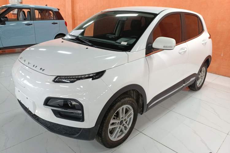 Used Dayun Yuehu 2022 30.66 kWh Two-Wheel Drive Standard Version
