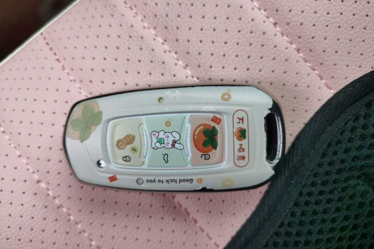 Used  Panda 2025 210 km – Yuanqi Bear