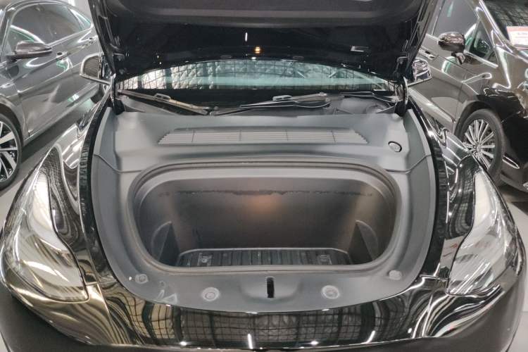 Used Tesla Model Y 2021 Standard Range Rear-Wheel Drive Version
