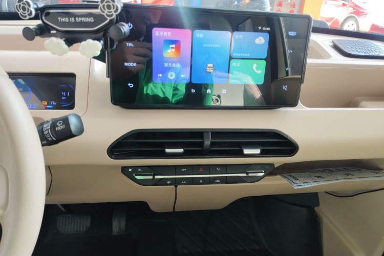 Used  Panda 2023 Panda Mini 200km Endurance Bear
