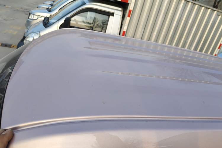 Used  Panda 2025 210 km – Yuanqi Bear
