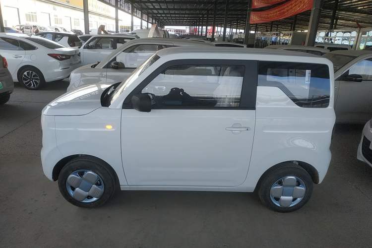 Used  Panda 2024 Panda Mini 200km Endurance Bear
