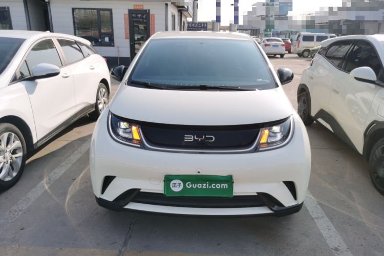 Used BYD Dolphin 2025 420km Free Edition