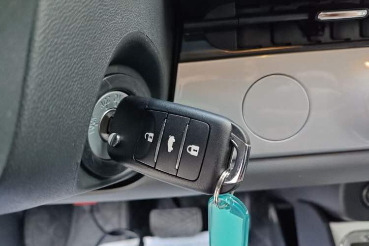 Used  Lumin 2025 205 km Xiangqin Version
