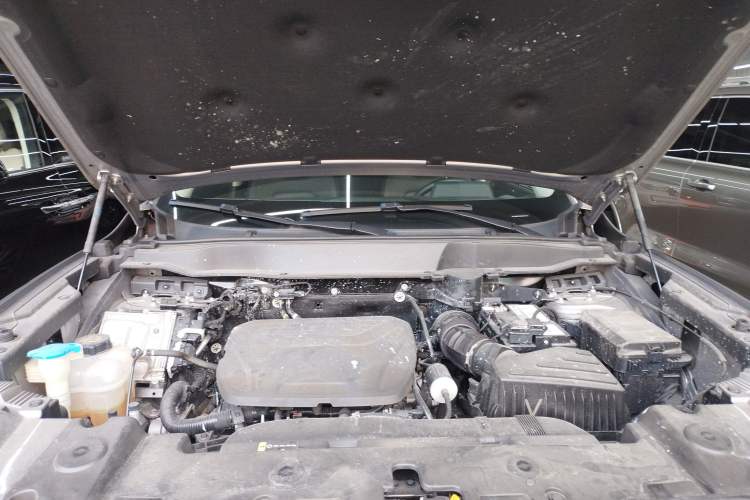 Used Haval DARGO 2024 1.5T DCT Border Collie Edition
